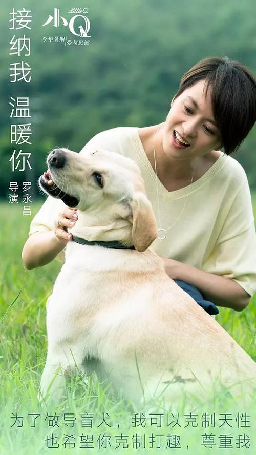 江西省宜春市高中毕业证
